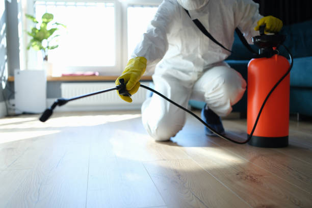 Reliable Biohazard Cleanup contractor in Albany, CA by Trauma Clean Pros